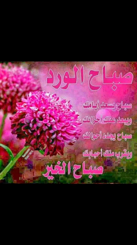 2em2e tweet picture