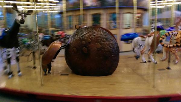 kcoons's tweet photo. Yes, a Dung Beetle pushing a pooh ball on the carousel at LA Zoo ... Brew at the zoo! http://t.co/bV38YZPk2C