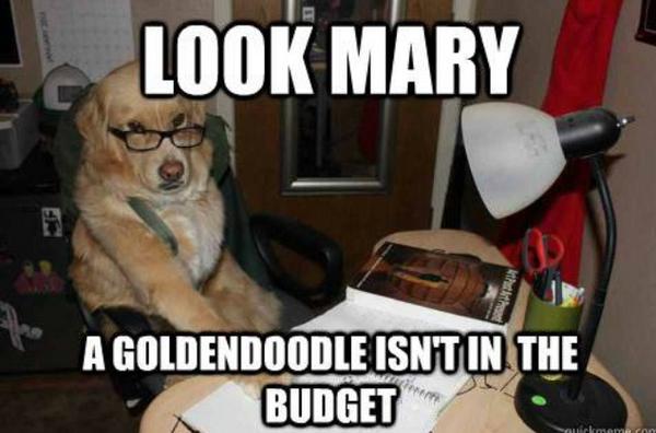 goldendoods's tweet photo. Hahahahahaha 😂😂 http://t.co/3k4o04QV5c
