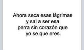 FanyAndrade1's tweet photo. Anita tiene razón aunque lo odie en eso soy bastante buena xD http://t.co/DYWSEe5XXB