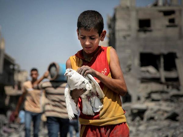 SiyasalAkimlar's tweet photo. Gazze'den Gazze'yi özetleyen bir kare (via http://t.co/8jk3Goagz7) http://t.co/fhKizzFIdG