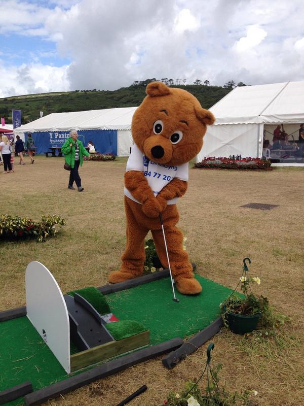 han2015's tweet photo. @RCTCAB @CABCymru Tedi yn neud ymarfer corff / Teddy doing some exercise #eisteddfod http://t.co/9EHJo5tazp
