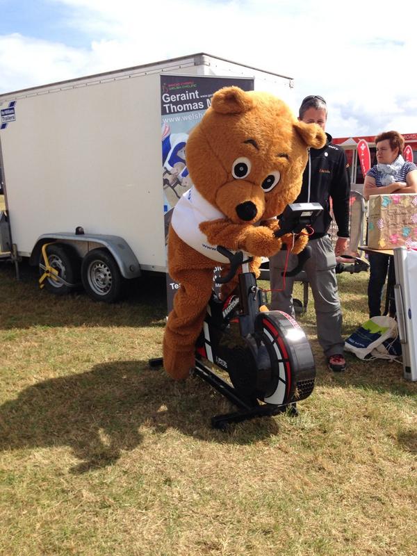 han2015's tweet photo. @RCTCAB @CABCymru Tedi yn neud ymarfer corff / Teddy doing some exercise #eisteddfod http://t.co/9EHJo5tazp
