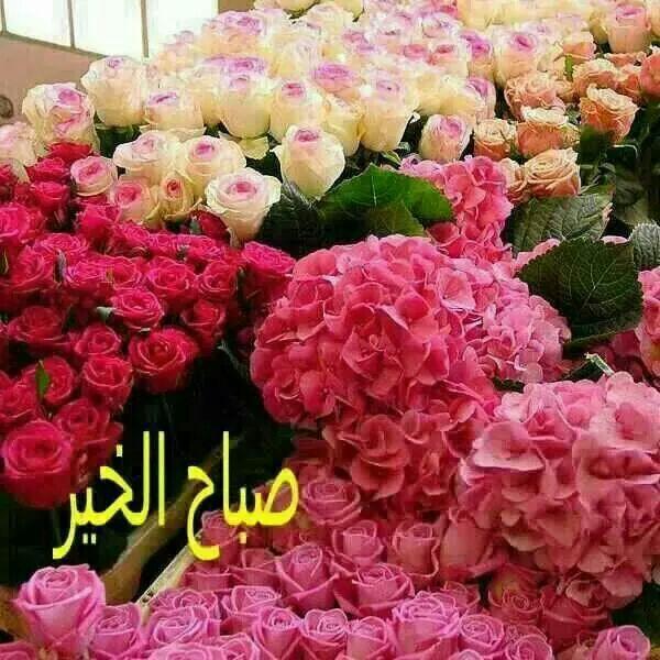 ola33322's tweet photo. http://t.co/26c0YaIPZj