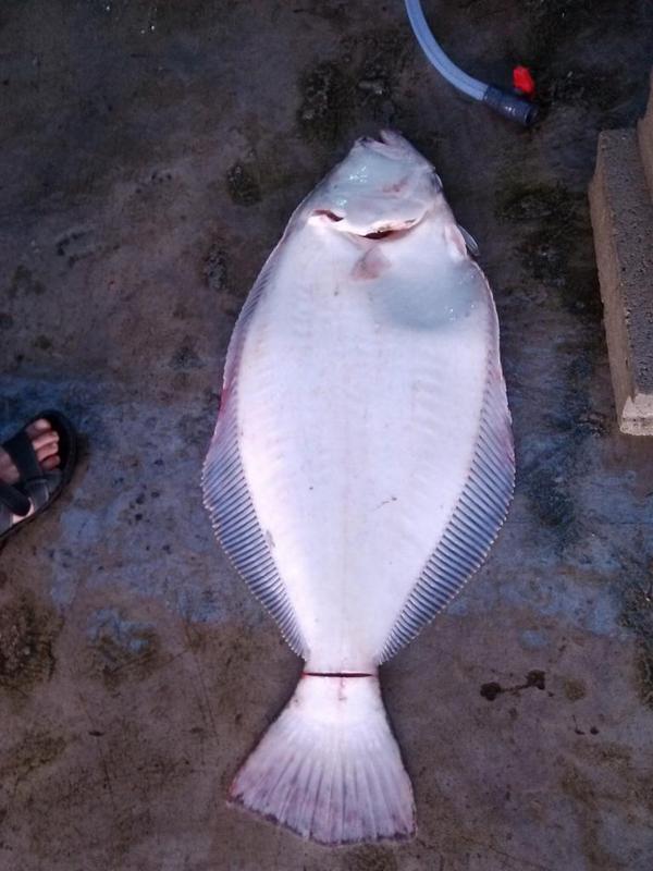 장석진 (@sukjinj) on Twitter photo 