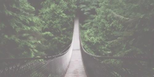 radicalheaders's tweet image. retweet // favorite if you plan on using