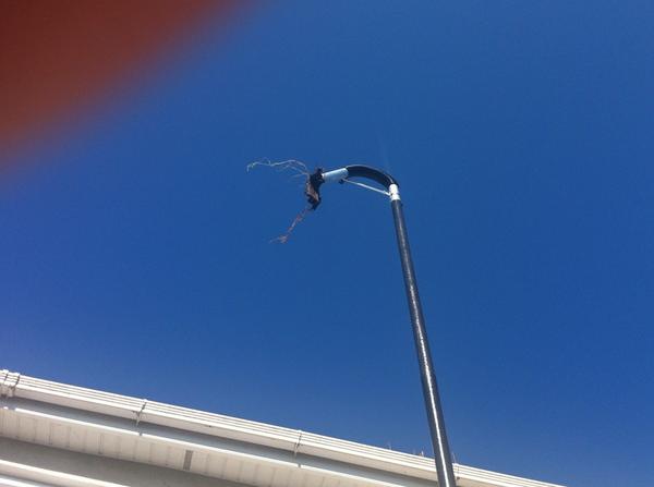 naaswindowclean tweet picture