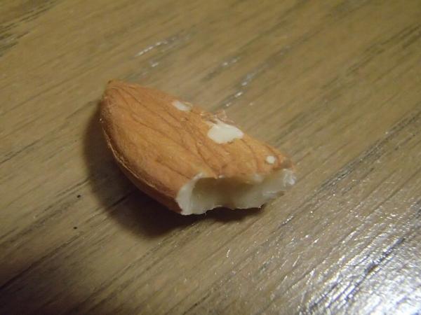 SundayHamster's tweet photo. I hide leftovers in my bed everyday. After cleaning my bed, human puts some of them to the original position :) http://t.co/zsBNYH2fwV