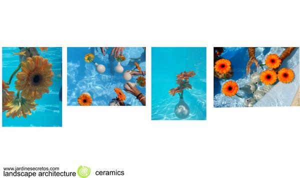 jardinesecretos's tweet photo. sessionphoto http://t.co/kYiyIbvsT4