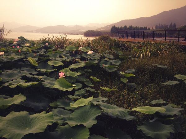 winfredltd's tweet image. Hey, guys! Welcome to pay attention to us, thanks