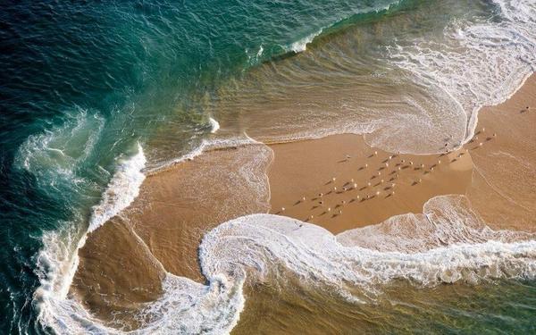 Gabriele_Corno's tweet photo. Bondy Beach #australia http://t.co/b5drVQgk9S