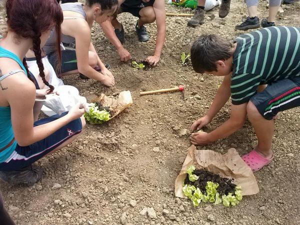 AhotsaInfo's tweet photo. @MendiGazteMugi no cesa en su empeño y vuelve a trabajar en la #HerriBaratza http://t.co/NcNbTsOBHE