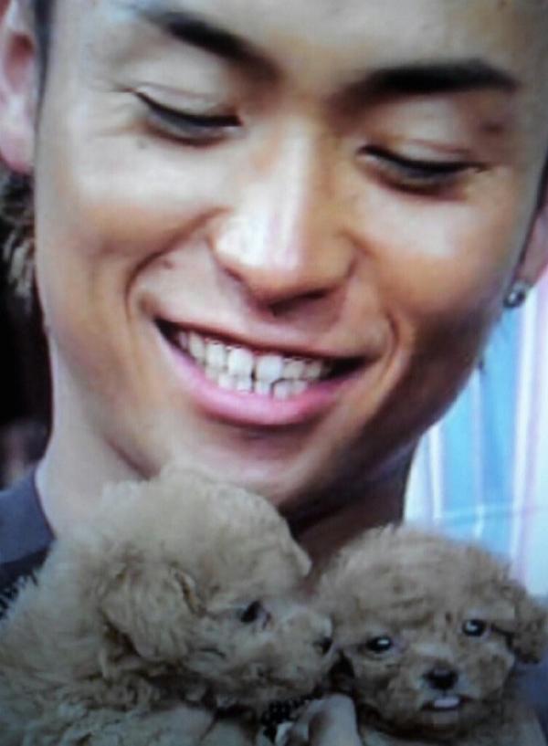 TETSUYA_EXILE2's tweet photo. トイプードルの赤ちゃん2匹にメロメロのTETSUYA♥ https://t.co/gJY1qbC8p5