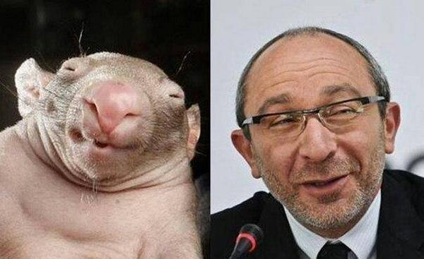 После скандального концерта Поляковой Билык выступила в Харькове - Цензор.НЕТ 910