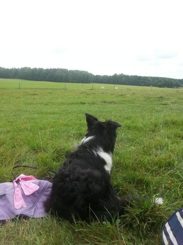 FridaFornander's tweet photo. SM-kval 2014☆☆ http://t.co/oY38Zi0f6b