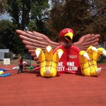 Photo by Cologne Falcons (@CologneFalcons)