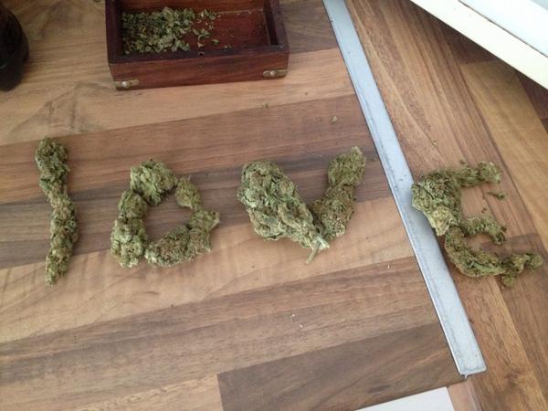 420est's tweet photo. #420estguy #weed #onelove #happy #peace  http://t.co/iWZcUFzBee