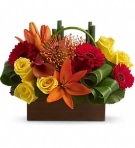 Live life outloud!Our local designers r close to home,
yet far from ordinary.Callus for a bright burst of localcolor