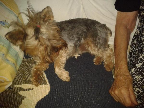 CarmenArchi's tweet photo. Q no la molesten q se sta exando la siesta!!! #mia http://t.co/cxDUZBWLo8