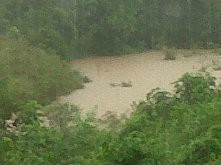 Hutan2014's tweet photo. #borneo http://t.co/4SYgoEgp6b