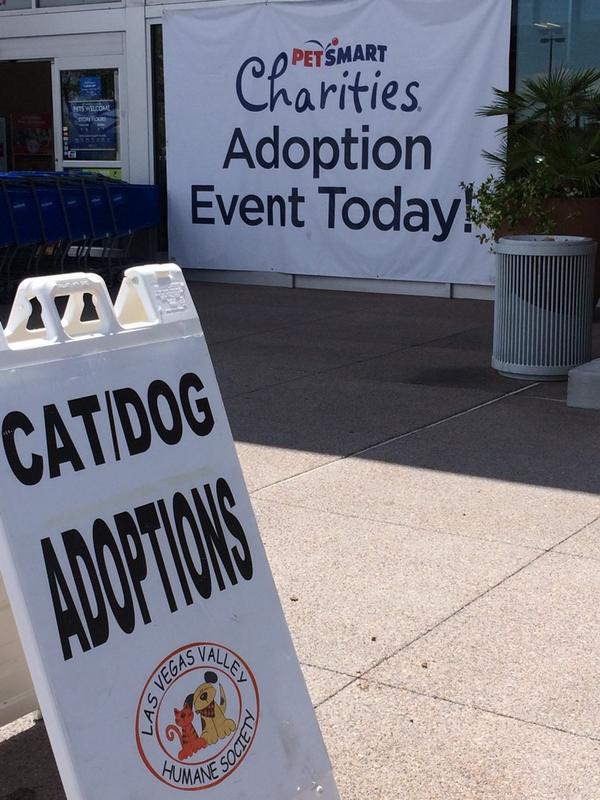 kjcoe's tweet photo. Ready to get some adoptions at 1394 in Las Vegas today! http://t.co/ehirXtwYoP