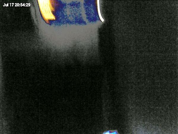 Connie Stargazer tweet media