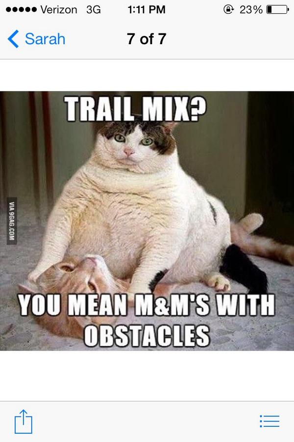 lizzMcChez's tweet photo. Yesssssss http://t.co/2JZzggNbi4