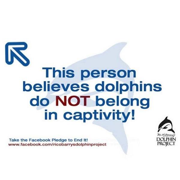 Take the pledge - DolphinProject.org