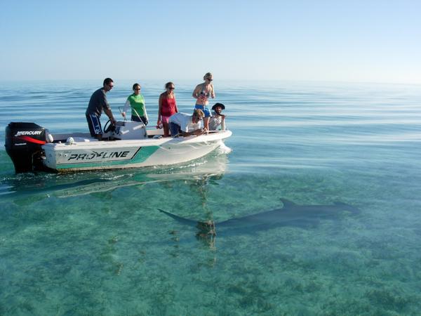 Tristan Guttridge tweet media