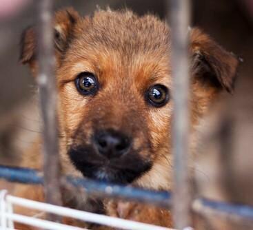 Ricky Gervais tweet media