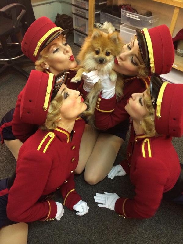 #sip <a href="/understudies/">Bway Understudies</a> <a href="/broadwayworld/">BroadwayWorld</a> Welcome back Rocco looking better than ever! <a href="/BillBerloni/">Перетягин Кирилл</a> #broadway #dogs