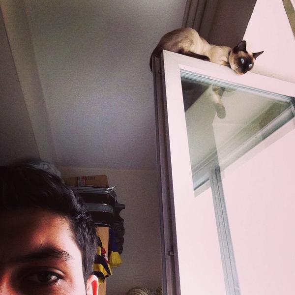 Serhat Türkan (@serhatt1990) on Twitter photo 