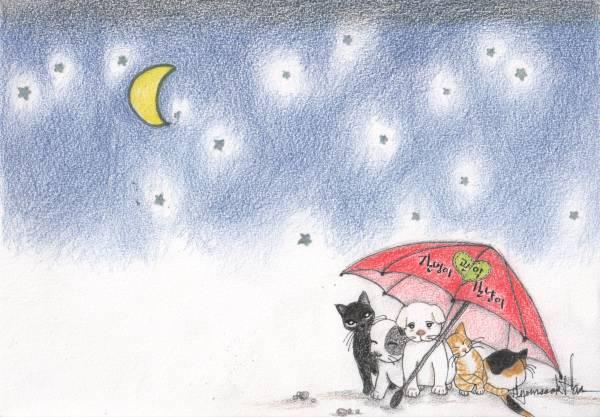 ddangzzing's tweet image. 관악구 길친구들 -  누군가의 보살핌이 없으면 굶어야 하는 아이들,쫒기고 숨고 떨어야 하는 아이들,하루 하루가 마지막일 수도 있는 그 작은 아이들..중략chungdamfamily.com/Cat/%EB%82%B4%…