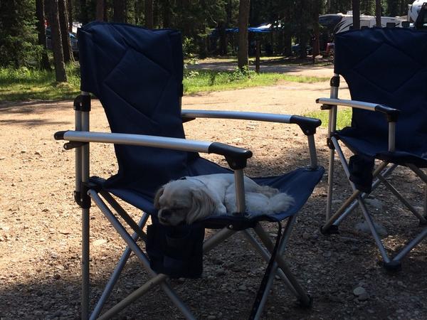 lburka13's tweet photo. Even the dog loves the lake! #lazysummerday http://t.co/beVpjaXJZR