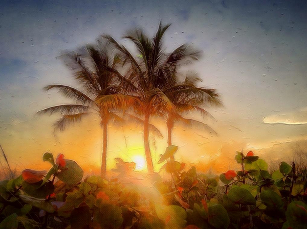 riverfrontfl's tweet image. RT @iamlasolas: Good advice for S FLA
RT @BritFlorida: Beat the heat without using AC buff.ly/1ow200o