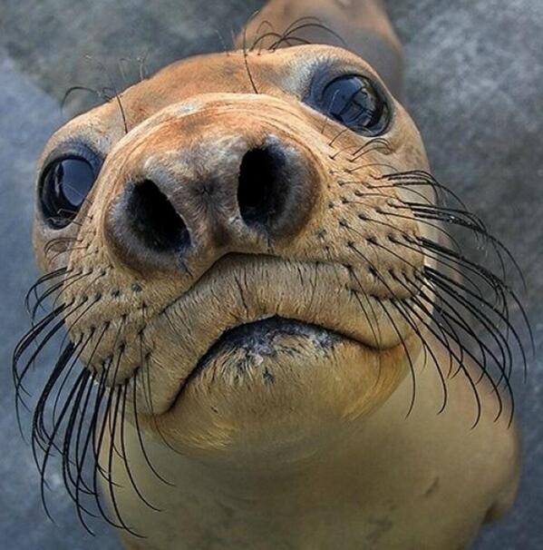 StumblerVideos's tweet photo. kids be like u got games on ur phone http://t.co/xzqRmT9p0H