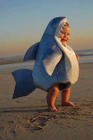 rubyhippo's tweet image. Do not mess with this little #baby #shark muhahahaha - awwwww so #cute!!!!