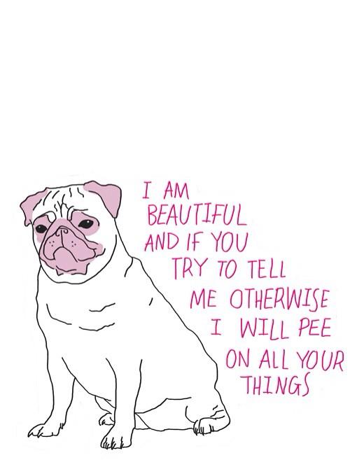 Victoria bocard tweet media