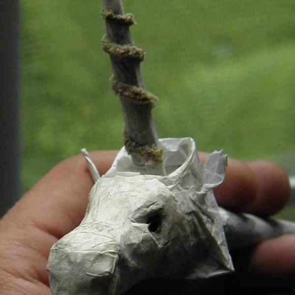 DankPhotographs's tweet photo. http://t.co/BehRjRLWOF