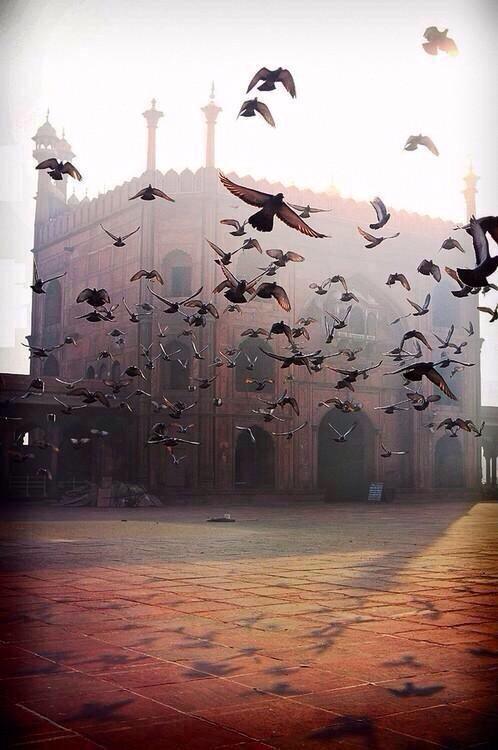 The_islamic's tweet photo. نسمات الفجر ، خيوط الشمس ، أذكار تسكن تفاصيل الصباح ، من هنا تبدأ حكاية يوم جديد وروح يسكنها الأمل ،

#صباح_الخير 🌹☀️ http://t.co/ClEZLkW6BV