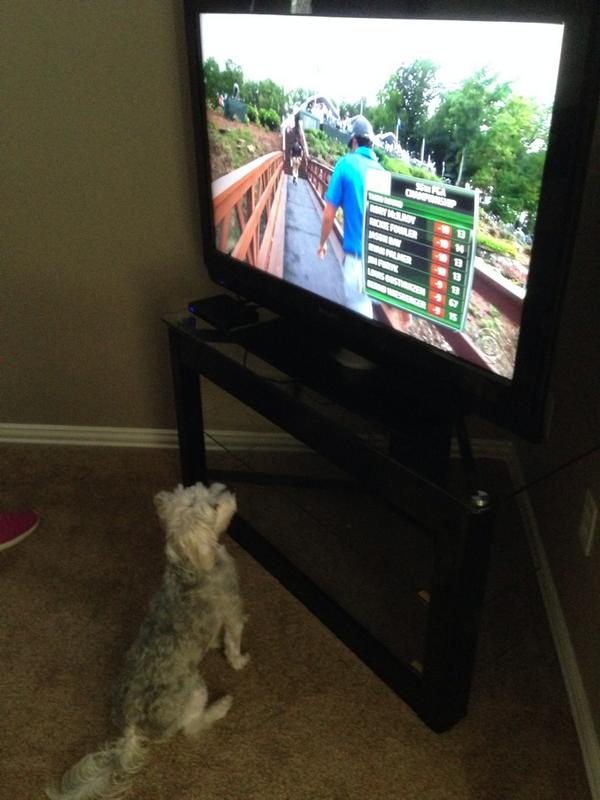 rbmalcom's tweet photo. Bogey is checking the scores from the PGA championship. http://t.co/Jay4b51iWL