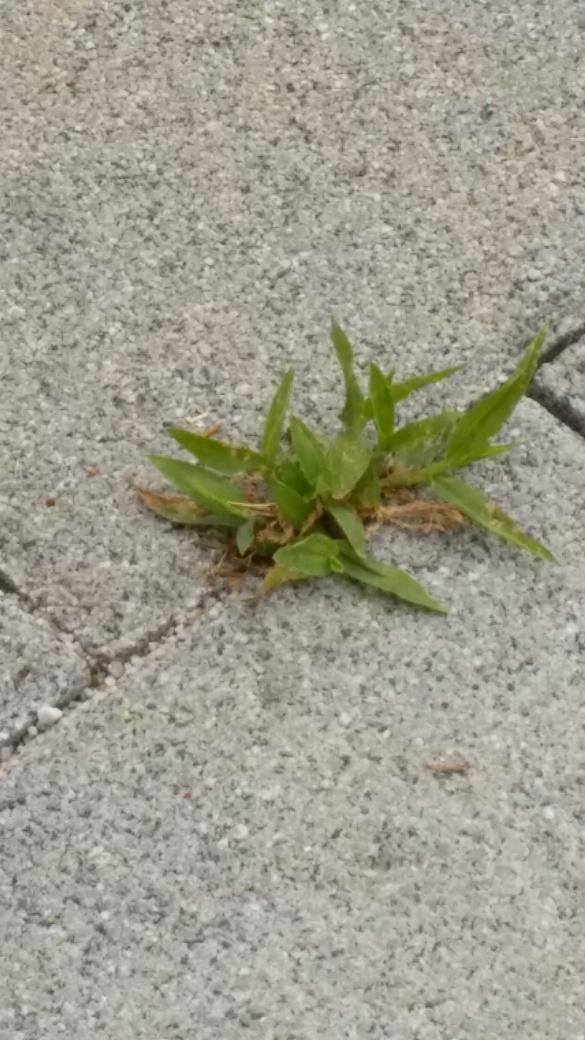 인간을 이해한다고 함부러 떠벌려대지 말라.
자신도 이해못하니... ㅠㅠㅠ
그러니 사랑은 더욱 더 멀기만 하구나...