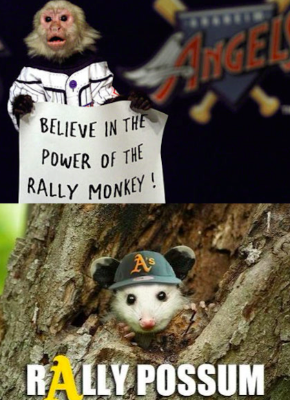 MLBMeme's tweet image. RT for Rally Monkey
FAV for Rally Possum