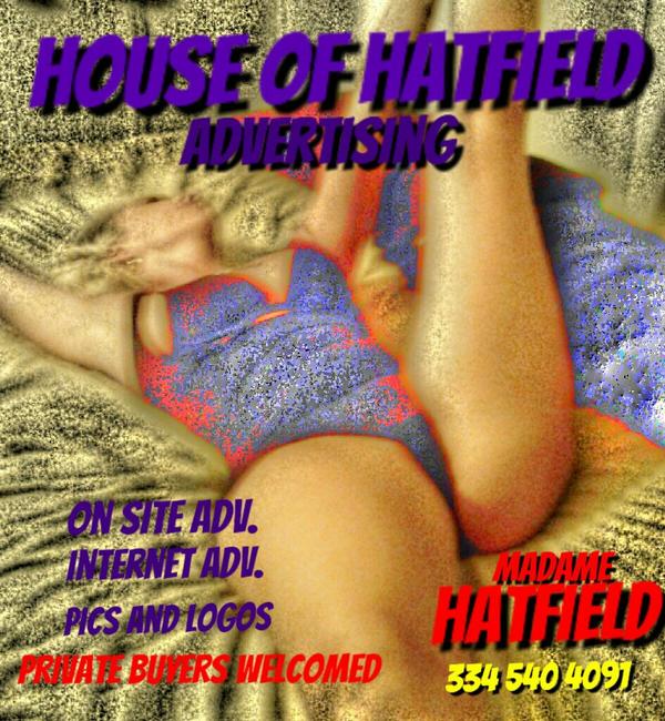 HatfiCrystal tweet picture