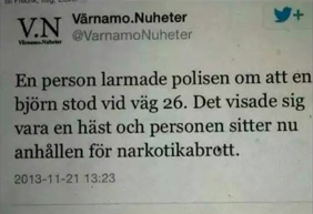 Bergmark's tweet image. Detta kan vara den roligaste tidningsnotisen någonsin.