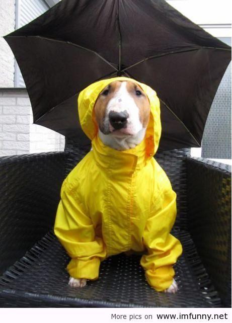 Good morning tweeters! Wet conditions today, lots of surface water so keep your speed down &amp; keep wrapped up!