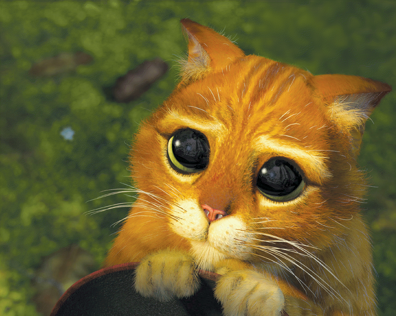 Happy 54th Birthday Antonio Banderas!
Our favourite part played by Antonio has to be "Puss in boots" 