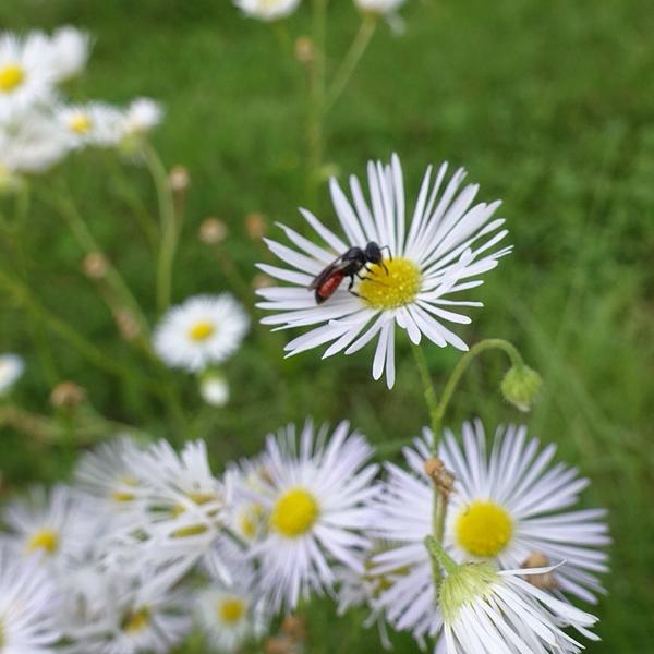 멀리서 사진 한장 올림