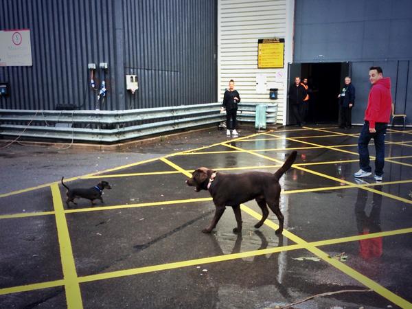 antanddec's tweet photo. Rocky and Hurley have arrived at @TheLGArena ready for today's matinee! D #TakeawayOnTour http://t.co/RS7g1x3acX