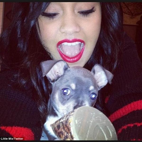 pornlittlemix tweet picture